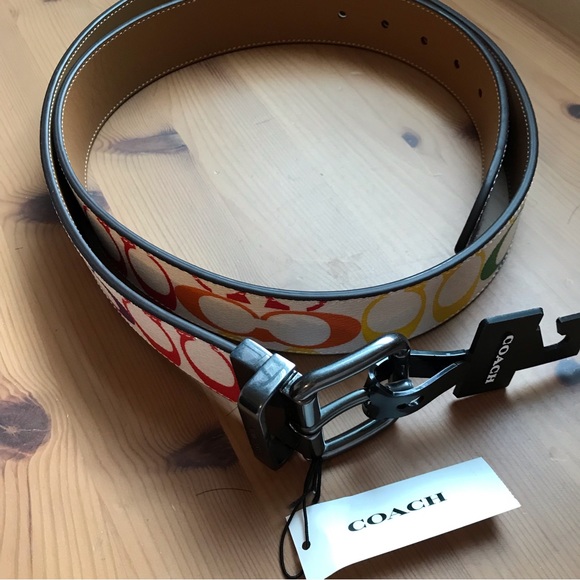 π Coach Rainbow Belt - Roller Buckle Cut To Size Reversible - Picture 9 of 9